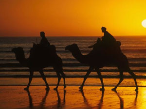 Преимущества отдыха в Марокко