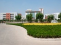 Агрономический университет (Циндао)